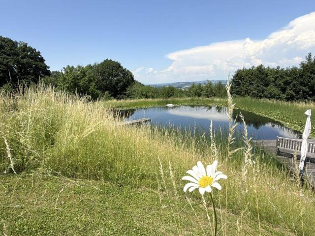 Loftwohnung mit Garten, Terrasse und Schwimmteich: naturnah und außergewöhnlich