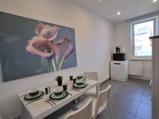 Löffelfertiges 2 Zi. Apartment zentrumsnah am Fürther Stadtpark