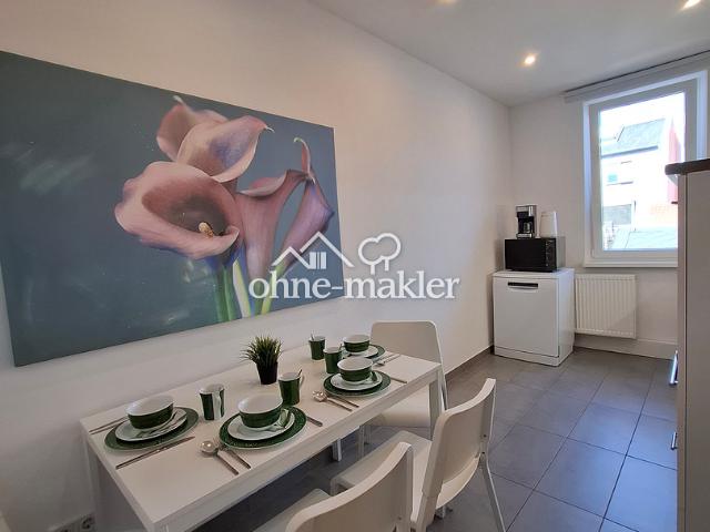 Löffelfertiges 2 Zi. Apartment zentrumsnah am Fürther Stadtpark