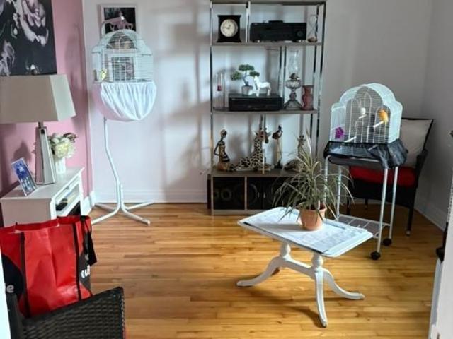 Logement 41/2
