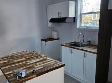 Logement 4 et Demi Rénové grand mère 7 e avenue