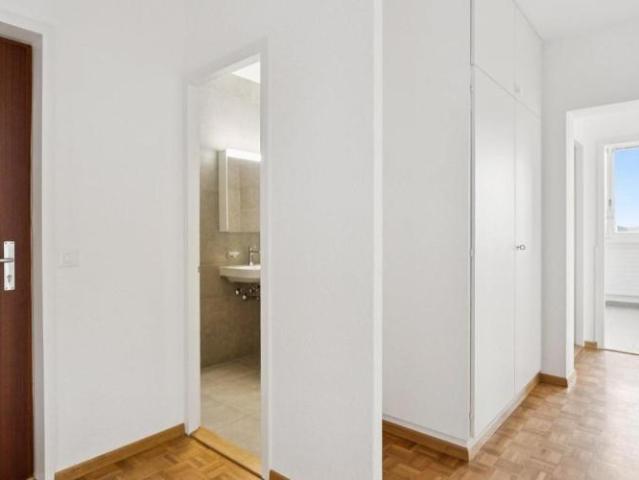 Logement de 3 pièces entièrement rénové