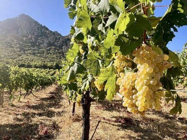 Loiri Porto San Paolo SardegnaSardinia 07020 95302790