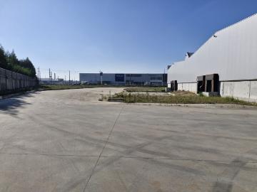 Cacia, Aveiro, Distrito de Aveiro - Despensa