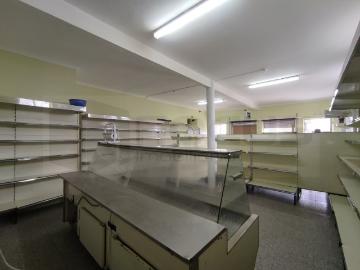 Requeixo Nossa Senhora de Fátima e Nariz, Aveiro, Distrito de Aveiro