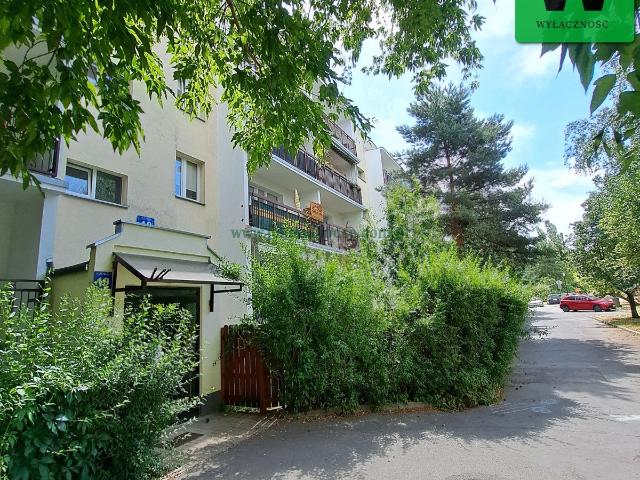Do sprzedania przestronny lokal 39,4 m² na Ursynowie z dużymi oknami