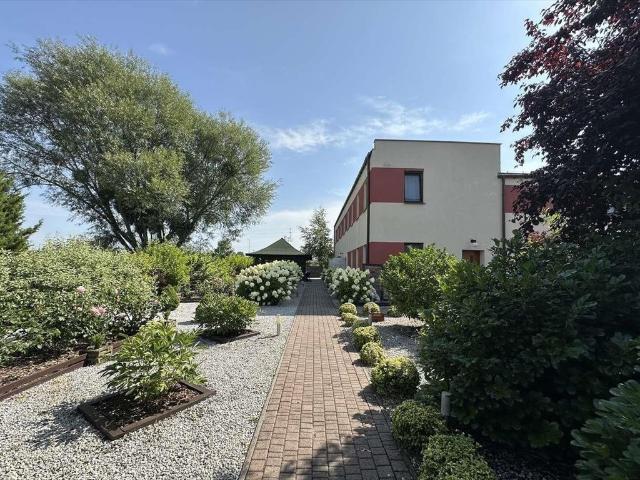 Lokal użytkowy 645 m² w Golęczewie zapraszam