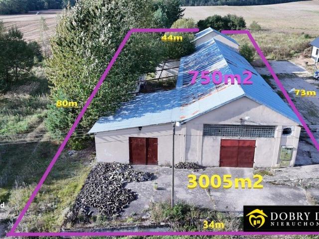 Lokal użytkowy 750 m² w Zamczysk blisko drogi S19