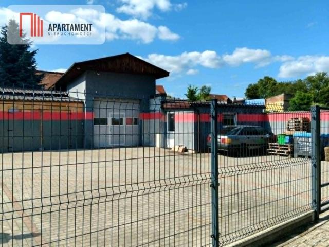 Lokal użytkowy 150 m², Brzeg Dolny