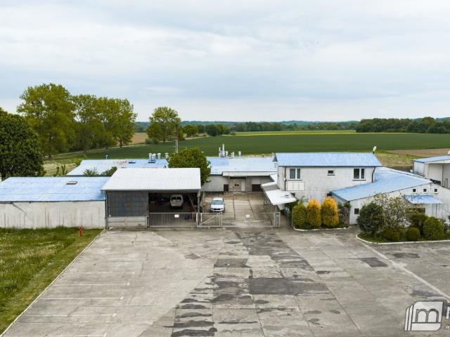 Lokal użytkowy 1634 m² z wyposażeniem inwestycja