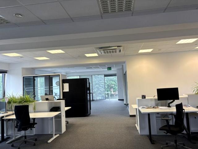 Obrońców Pokoju 180 m², Jelenia Góra