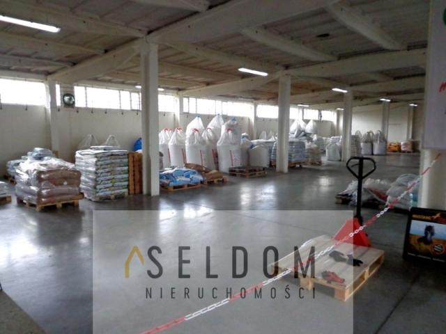 Lokal użytkowy 1 000 m², Prószków