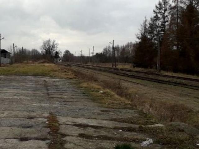 Lokal użytkowy 1 640 m², Tarnowiec