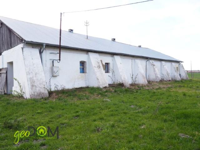 Lokal użytkowy 300 m², Kobyle