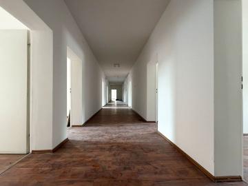 Lokal użytkowy 308 m² w centrum ul. Dmowskiego 22