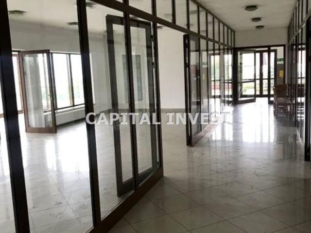 Lokal użytkowy 350 m², Mucharz