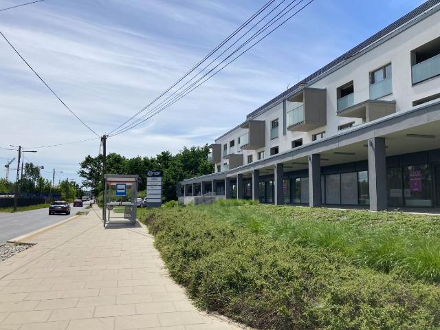 Lokal użytkowy, Warszawa, Brzeziny, 178.18 m², wynajmę lokal użytkowy