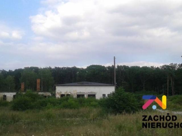 Lokal użytkowy, Chocianowiec, 1396.00 m², sprzedam lokal użytkowy