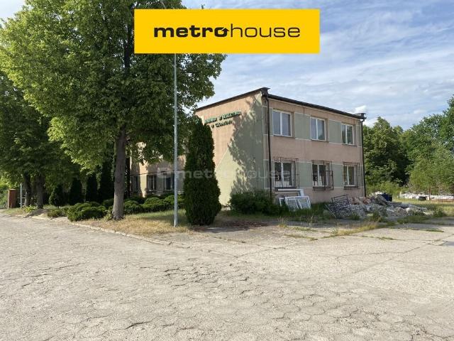 Lokal użytkowy, Dębina, Spacerowa, 380.00 m², wynajmę lokal użytkowy