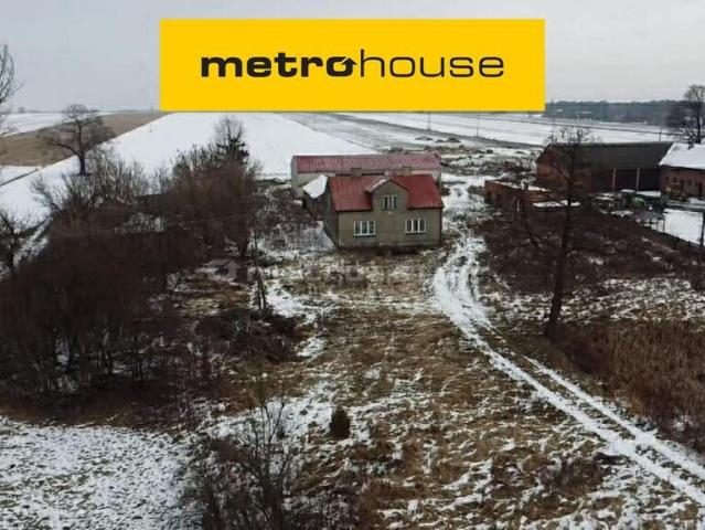 Lokal użytkowy, Górki Grabińskie, 3000.00 m², sprzedam lokal użytkowy