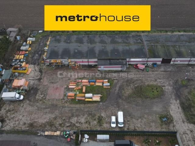 Lokal użytkowy, Rybno, 2100.00 m², sprzedam lokal użytkowy
