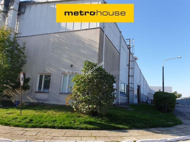 Lokal użytkowy, Szczekociny, Lelowska, 5300.00 m², wynajmę lokal użytkowy