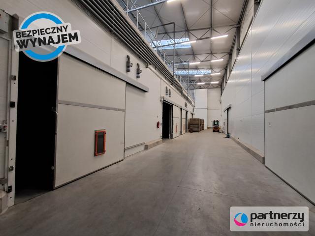 Lokal wynajmę, Chwaszczyno, 2200 m2, cena: 44 000 zł