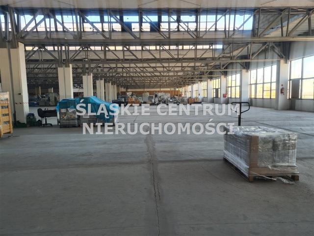 Lokal wynajmę, Będzin, Syberka, Piłsudskiego, 2250 m2, cena: 33 750 zł