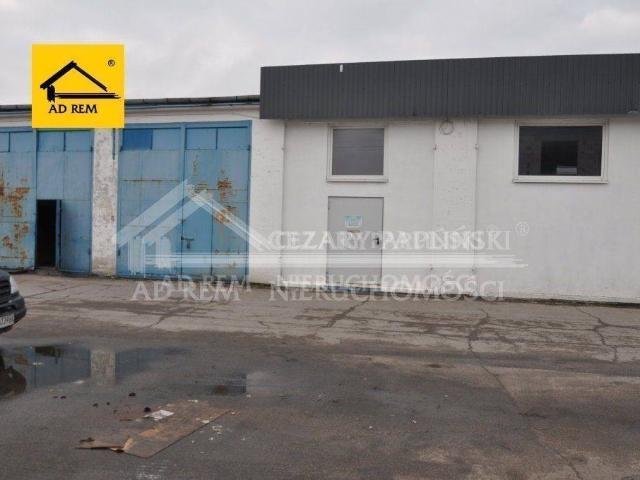 Lokal wynajmę, Biała Podlaska, 300 m2, cena: 5 000 zł