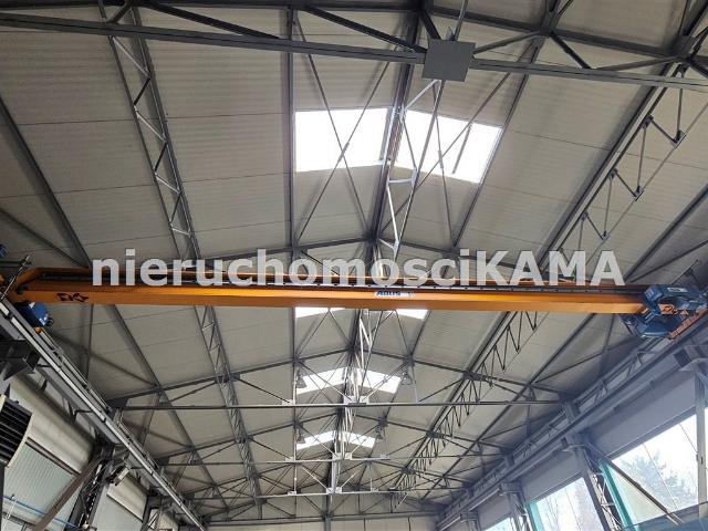 Lokal wynajmę, Bielsko Biała, Bielsko Biała, 1024 m2, cena: 20 492 zł