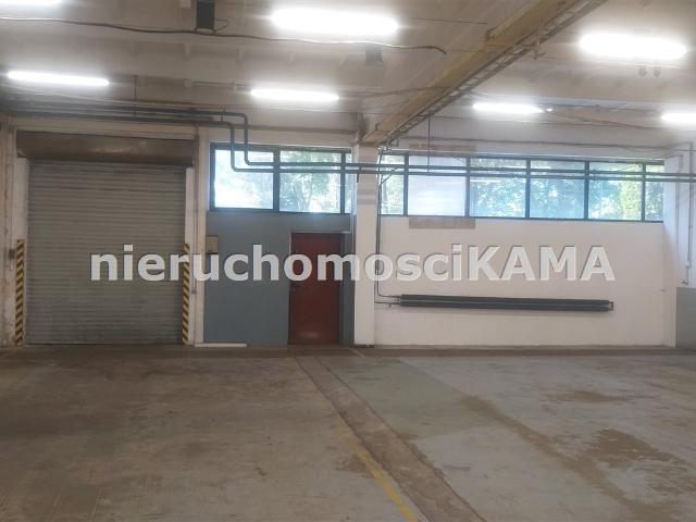 Lokal wynajmę, Bielsko Biała, Bielsko Biała, 1190 m2, cena: 26 186 zł