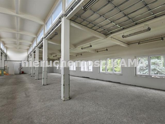 Lokal wynajmę, Bielsko Biała, Bielsko Biała, 495 m2, cena: 10 410 zł