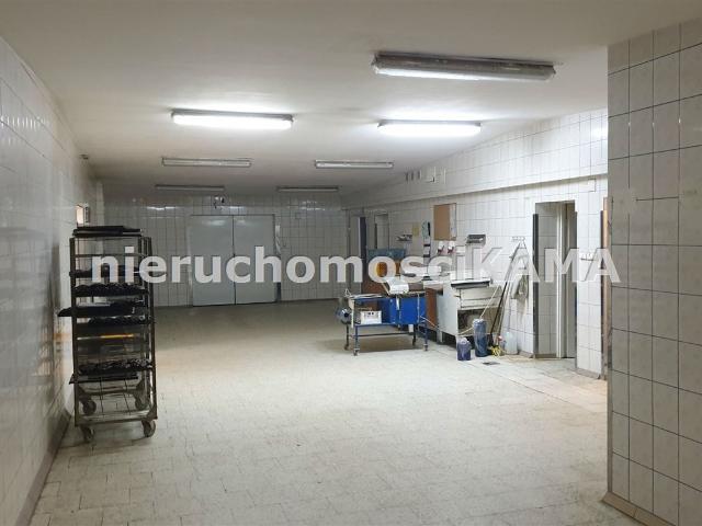 Lokal wynajmę, Bielsko Biała, Bielsko Biała, 400 m2, cena: 5 000 zł
