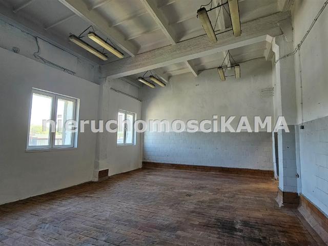 Lokal wynajmę, Bielsko Biała, Bielsko Biała, 55 m2, cena: 1 100 zł