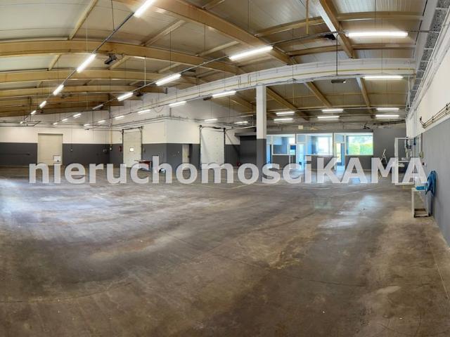 Lokal wynajmę, Bielsko Biała, Bielsko Biała, 560 m2, cena: 14 000 zł