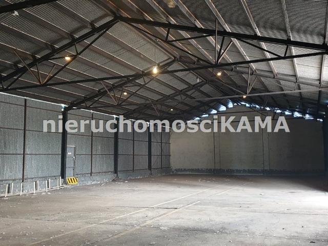 Lokal wynajmę, Bielsko Biała, Bielsko Biała, 522 m2, cena: 12 000 zł
