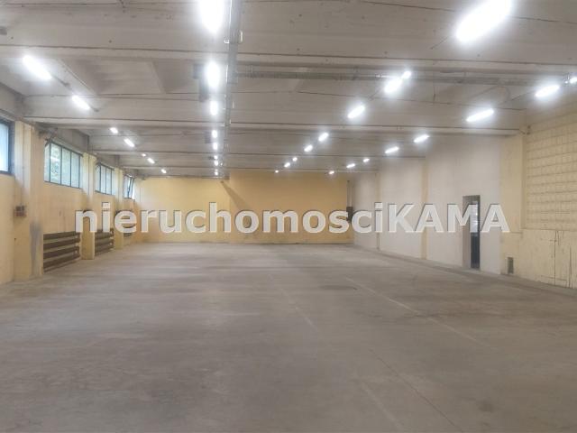 Lokal wynajmę, Bielsko Biała, Bielsko Biała, 629 m2, cena: 13 839 zł