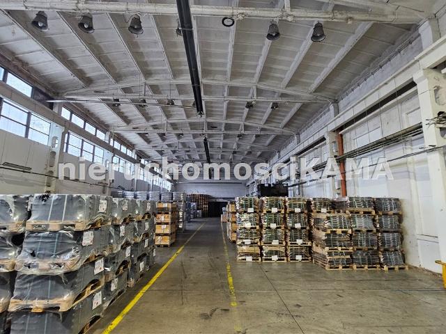 Lokal wynajmę, Bielsko Biała, Bielsko Biała, 6342 m2, cena: 152 222 zł