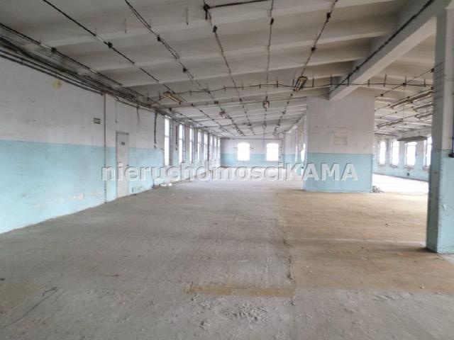 Lokal wynajmę, Bielsko Biała, Bielsko Biała, 848 m2, cena: 10 184 zł