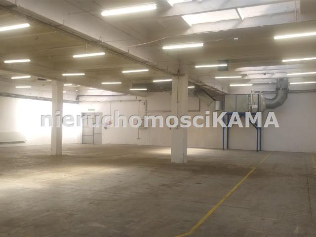 Lokal wynajmę, Bielsko Biała, Bielsko Biała, 810 m2, cena: 17 835 zł