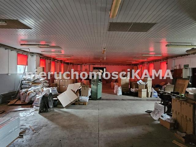 Lokal wynajmę, Bielsko Biała, Bielsko Biała, 910 m2, cena: 16 000 zł