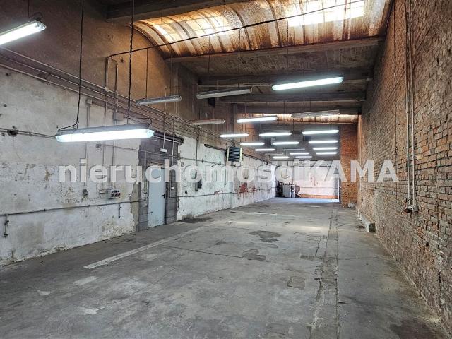 Lokal wynajmę, Bielsko Biała, Centrum, 181 m2, cena: 3 634 zł