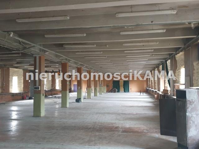 Lokal wynajmę, Bielsko Biała, Centrum, 1225 m2, cena: 14 700 zł
