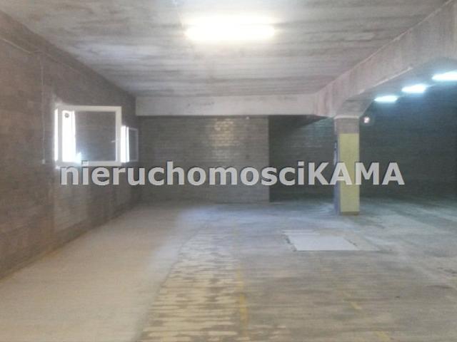 Lokal wynajmę, Bielsko Biała, Centrum, 257 m2, cena: 3 084 zł