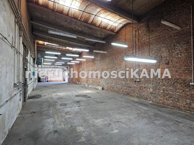Lokal wynajmę, Bielsko Biała, Centrum, 454 m2, cena: 9 094 zł