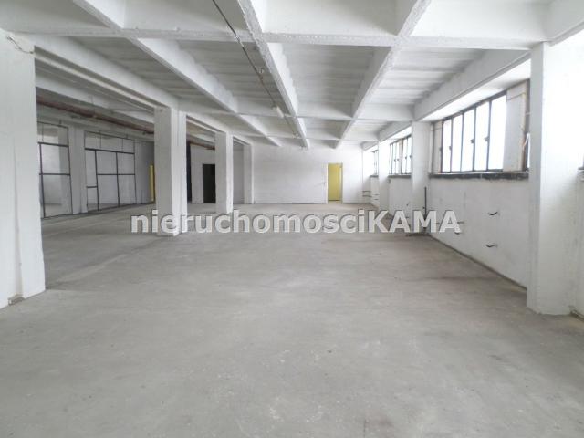 Lokal wynajmę, Bielsko Biała, Centrum, 550 m2, cena: 4 950 zł