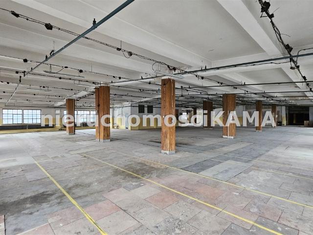 Lokal wynajmę, Bielsko Biała, Centrum, 758 m2, cena: 5 306 zł