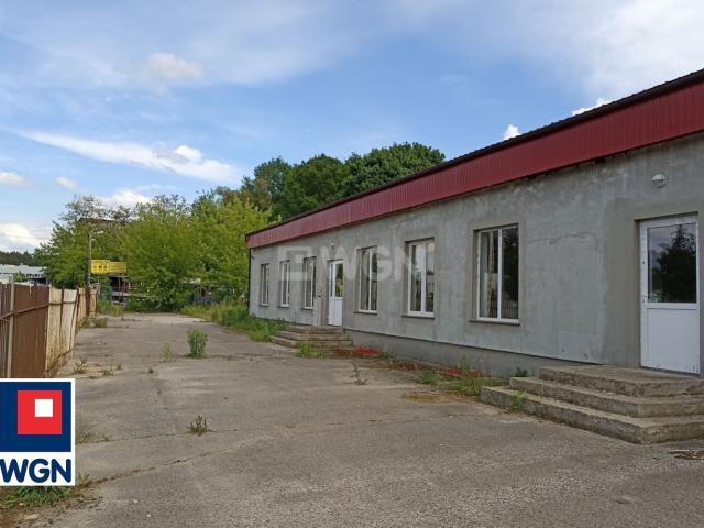 Lokal wynajmę, Brodnica, Świerkowa, 250 m2, cena: 6 250 zł