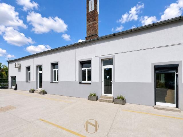 Lokal wynajmę, GORZÓW WIELKOPOLSKI, ŚRÓDMIEŚCIE,, 260 m2, cena: 3 000 zł