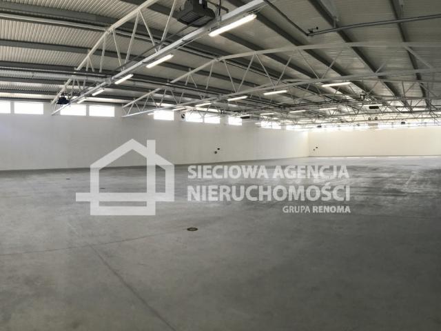 Lokal wynajmę, Gdańsk, Letnica, 309 m2, cena: 12 345 zł